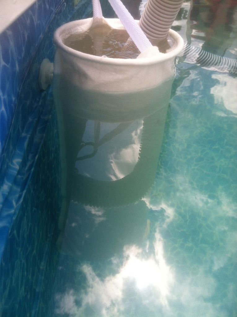 Chlorine made pool water turn brown Page 3 Trouble Free Pool